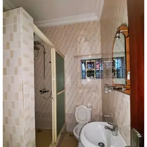 1 Bedroom Apartment image 5